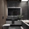 Slimme badkamerspiegel met verlichting- AGIS SMART LED Slimme badkamerspiegel met verlichting- AGIS SMART LED