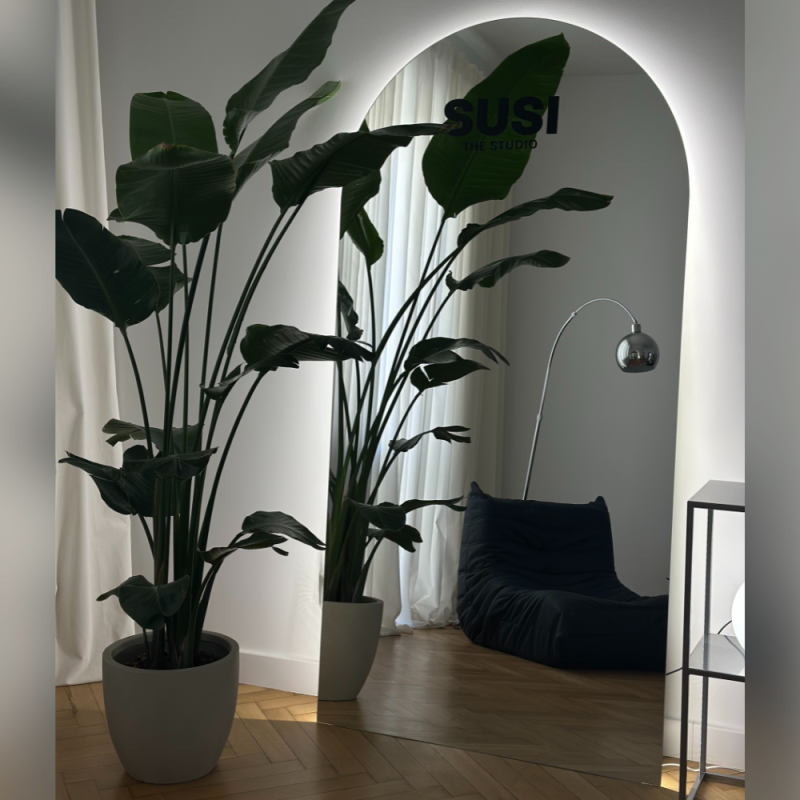 Half-ovale badkamerspiegel met verlichting - FRANK LED