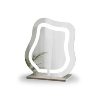 Cosmeticaspiegel met gezandstraalde verlichting - FLOW LED PETITE
