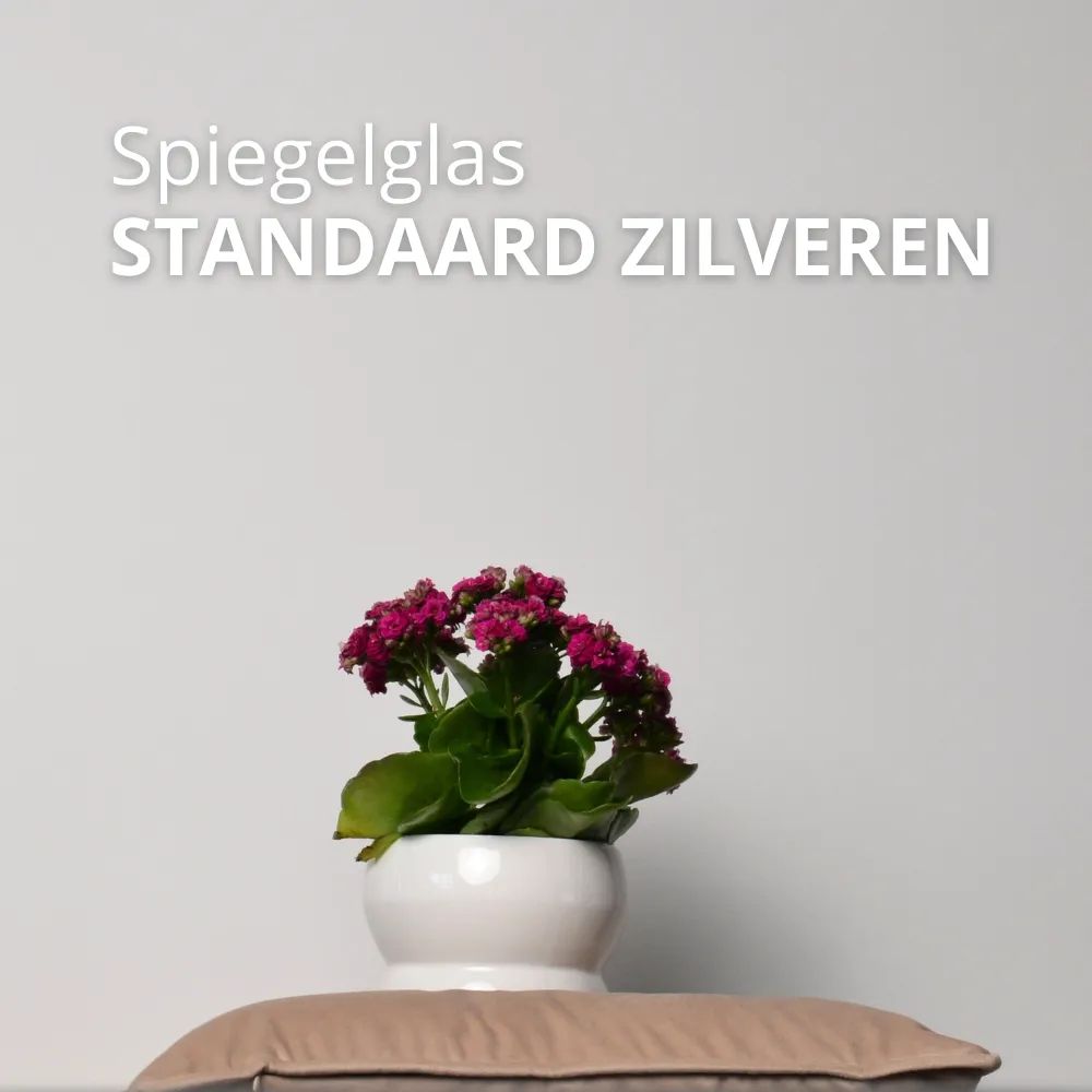 Standaard zilver