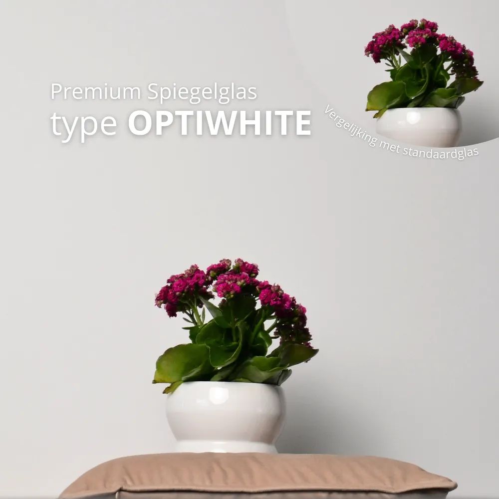 Optiwhite type